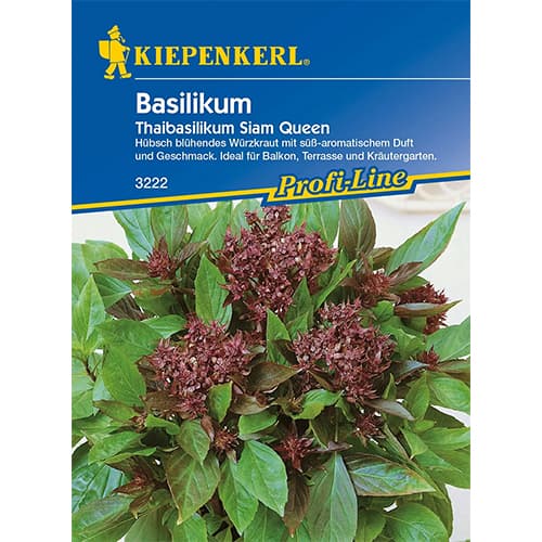 Bazylia tajska Siam Queen - Nasiona: Ilość w opakowaniu: 1 opak - GradinaMax