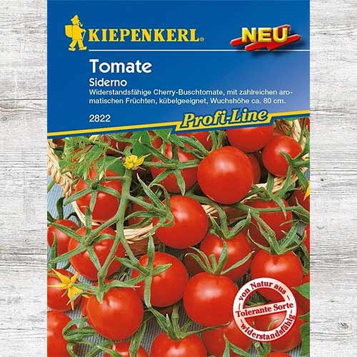 1 szt, Pomidor koktajlowy Siderno F1 - Nasiona: Ilość w opakowaniu: 1 opak