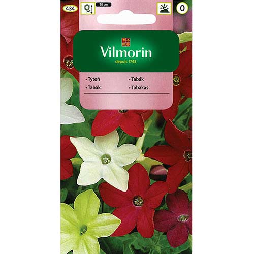 1 szt, Tytoń narcyzowy ozdobny, mieszanka Vilmorin - Nasiona: Ilość w opakowaniu: 0.5 g