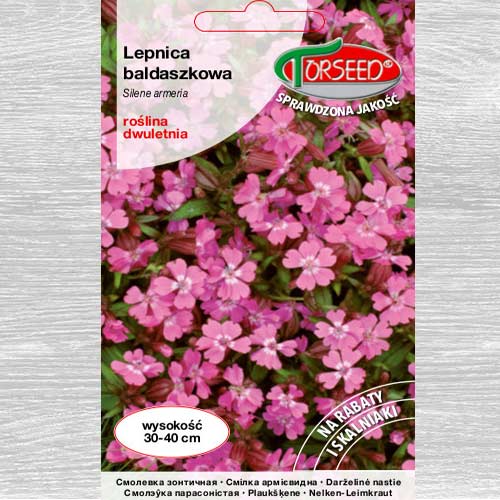 1 szt, Lepnica baldaszkowa - Nasiona: Ilość w opakowaniu: 1 g