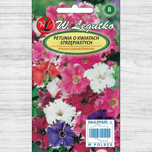 1 szt, Petunia ogrodowa zwisająca postrzępiona, mieszanka Legutko - Nasiona: Ilość w opakowaniu: 0.01 g