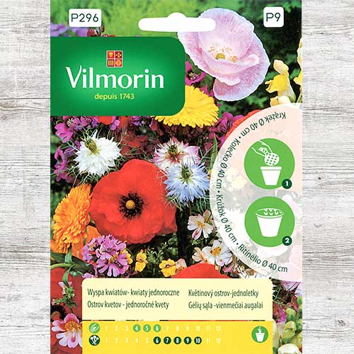 1 szt, Wyspa kwiatów - kwiaty jednoroczne, nasiona na krążku - Nasiona: Ilość w opakowaniu: 1 szt