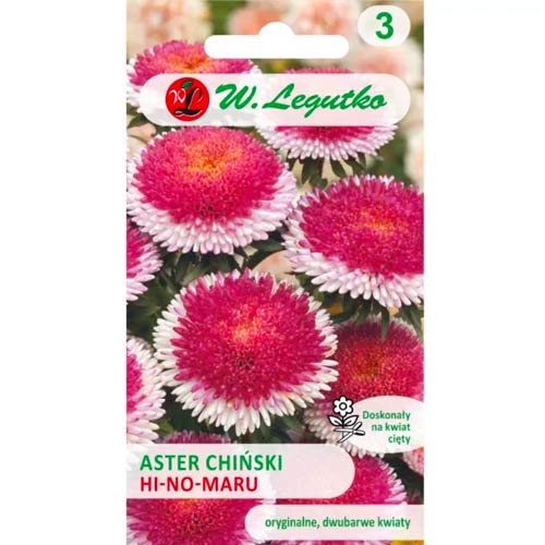 1 szt, Aster pomponowy Hi-no-Maru - Nasiona: Ilość w opakowaniu: 0.3 g