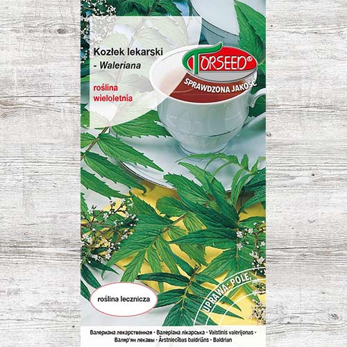 1 szt, Kozłek lekarski, nasiona - Nasiona: Ilość w opakowaniu: 0.2 g