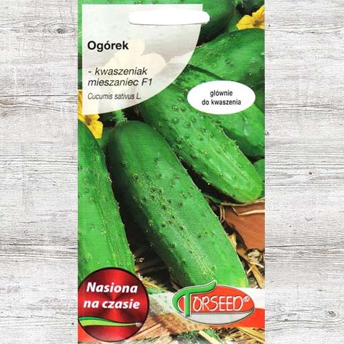 1 szt, Ogórek Julian F1 - Nasiona: Ilość w opakowaniu: 3 g