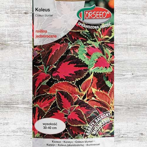 1 szt, Koleus, mieszanka - Nasiona: Ilość w opakowaniu: 0.1 g