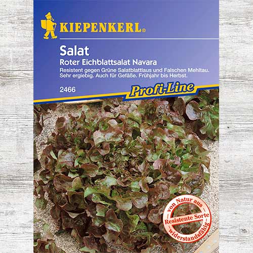 1 szt, Sałata dębolistna Navara - Nasiona: Ilość w opakowaniu: 1 opak