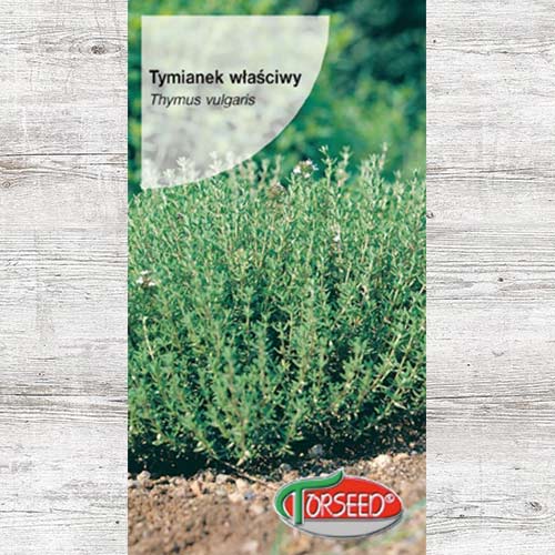 1 szt, Tymianek właściwy, nasiona - Nasiona: Ilość w opakowaniu: 0.2 g