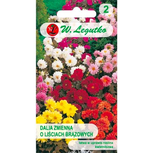 1 szt, Dalia zmienna karłowa Diablo, mix - Nasiona: Ilość w opakowaniu: 1 g