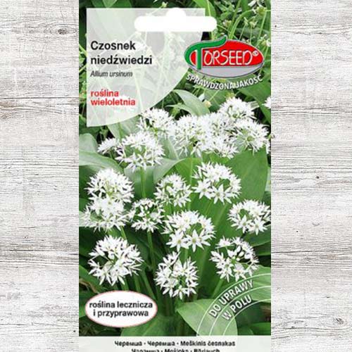 1 szt, Czosnek niedźwiedzi, nasiona - Nasiona: Ilość w opakowaniu: 0.5 g