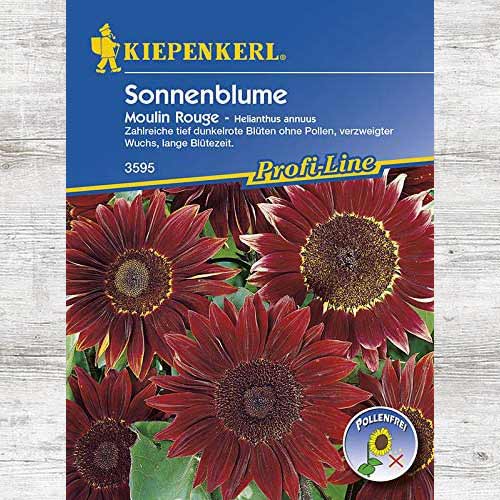 1 szt, Słonecznik ozdobny Moulin Rouge - Nasiona: Ilość w opakowaniu: 1 opak