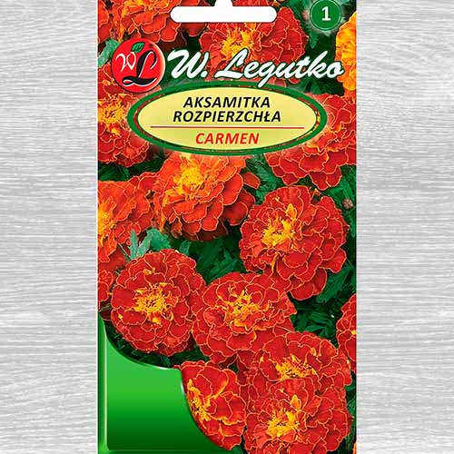 1 szt, Aksamitka rozpierzchła Carmen Legutko - Nasiona: Ilość w opakowaniu: 1 g