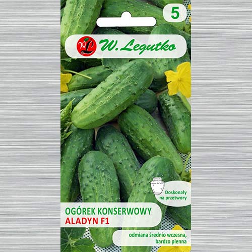 1 szt, Ogórek gruntowy konserwowy Aladyn F1 - Nasiona: Ilość w opakowaniu: 2 g