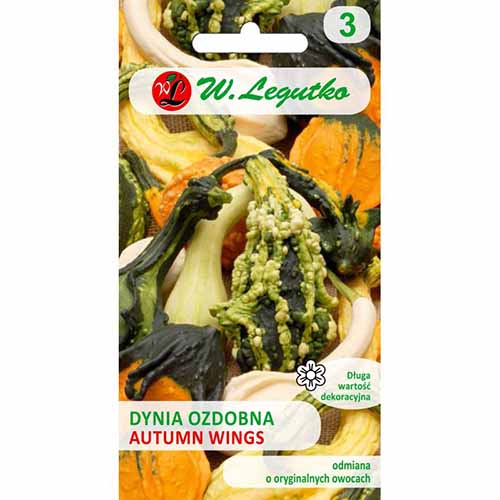 1 szt, Dynia ozdobna Autumn Wings Legutko - Nasiona: Ilość w opakowaniu: 1 g