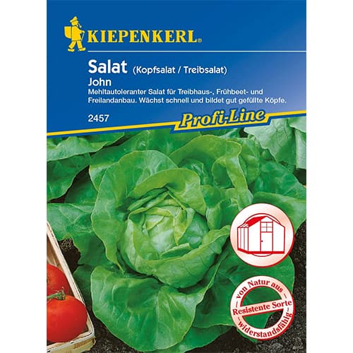 Sałata głowiasta John - Nasiona. Ilość w opakowaniu: 1 opak - GradinaMax