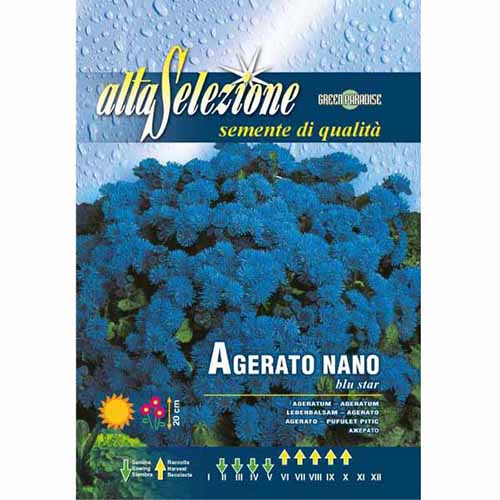 1 szt, Żeniszek meksykański niebieski Morami - Nasiona: Ilość w opakowaniu: 0.8 g