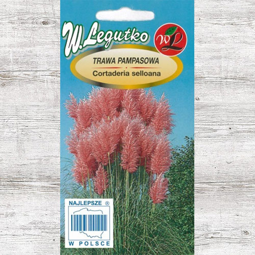 1 szt, Trawa pampasowa różowa Legutko - Nasiona: Ilość w opakowaniu: 0.03 g