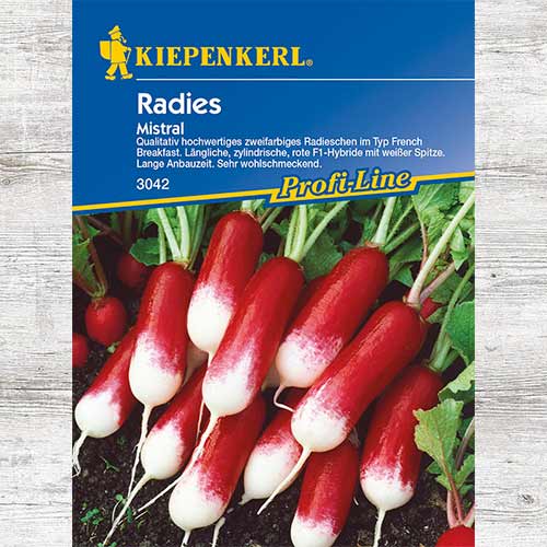 1 szt, Rzodkiewka Mistral F1 - Nasiona: Ilość w opakowaniu: 1 opak