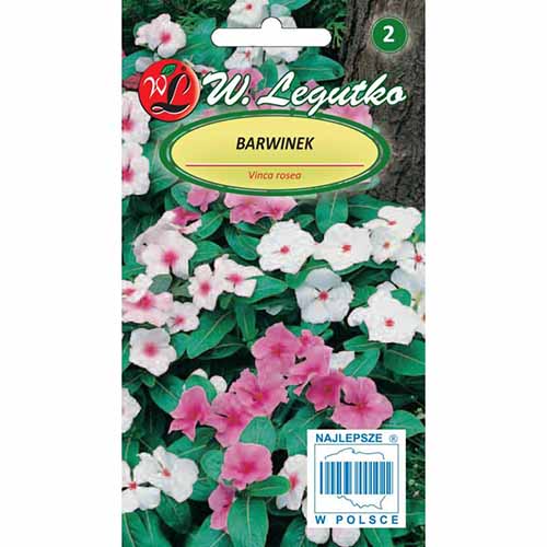 1 szt, Barwinek, mieszanka Legutko - Nasiona: Ilość w opakowaniu: 0.2 g