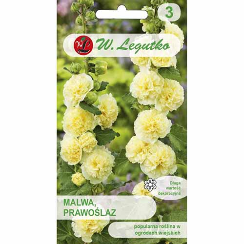 1 szt, Malwa pełna (Prawoślaz) żółta Legutko - Nasiona: Ilość w opakowaniu: 0.5 g