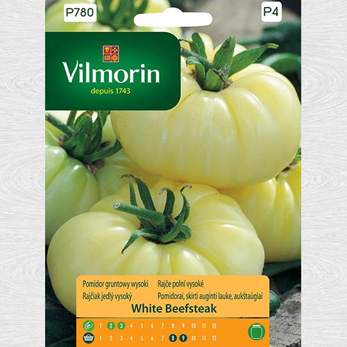 1 szt, Pomidor gruntowy wysoki White Beefsteak - Nasiona: Ilość w opakowaniu: 0.2 g