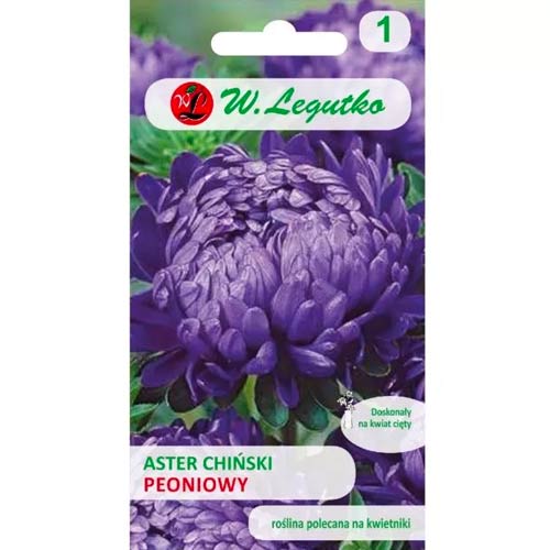 1 szt, Aster peoniowy fioletowy - Nasiona: Ilość w opakowaniu: 1 g