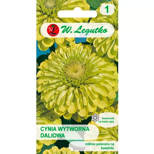 1 szt, Cynia daliowa Envy - Nasiona: Ilość w opakowaniu: 1 g