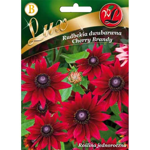 1 szt, Rudbekia Cherry Brandy - Nasiona: Ilość w opakowaniu: 0.1 g