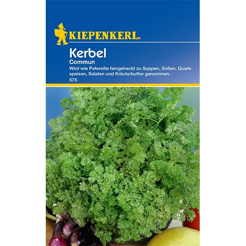 Trybula ogrodowa Commun - Nasiona. Ilość w opakowaniu: 1 opak - GradinaMax