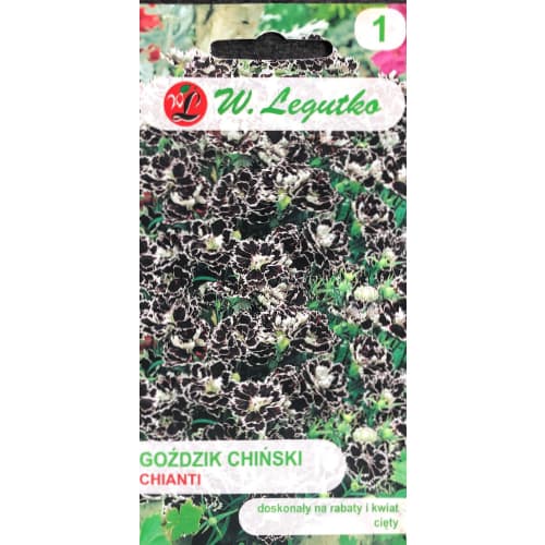 1 szt, Goździk chiński Chianti - Nasiona: Ilość w opakowaniu: 0.1 g