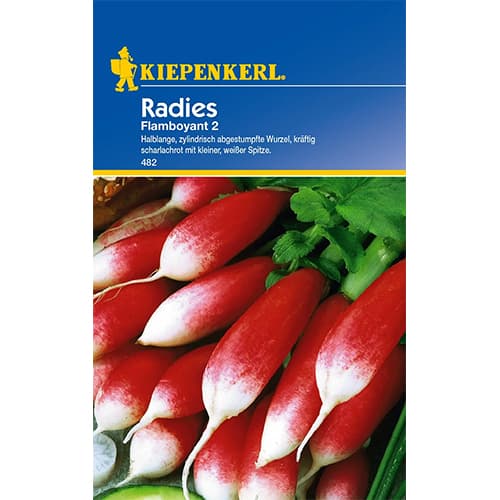 Rzodkiewka podłużna Flamboyant 2 - Nasiona. Ilość w opakowaniu: 1 opak - GradinaMax