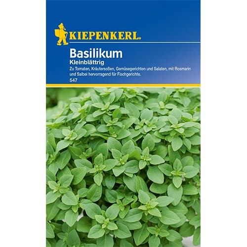 Bazylia drobnolistna - Nasiona. Ilość w opakowaniu: 1 opak - GradinaMax