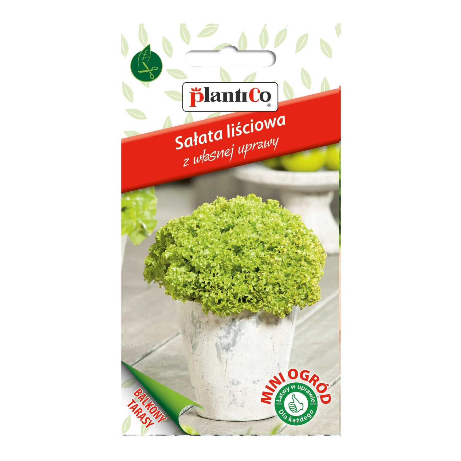 Sałata Lollo Bionda - 0,5 g