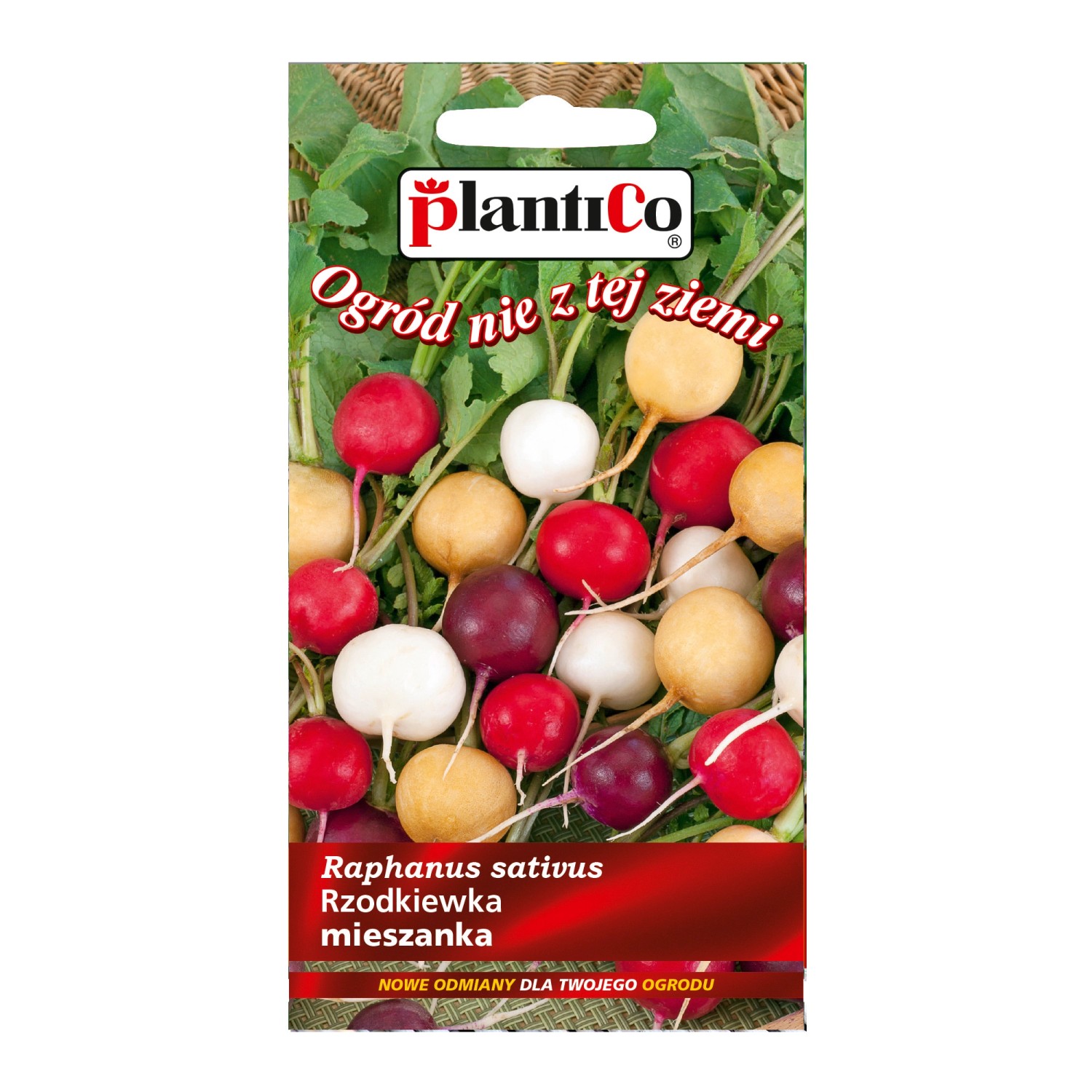 Rzodkiewka mieszanka ONZ