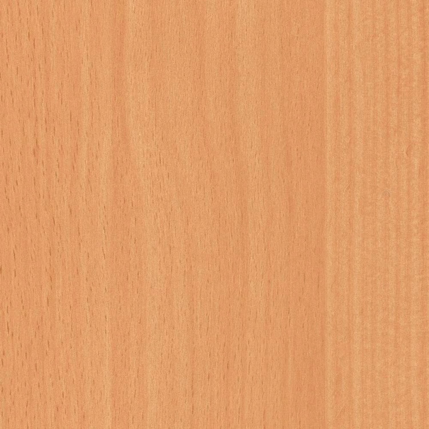 Okleina DĄB EUROPEJSKI 45 cm x 200 cm