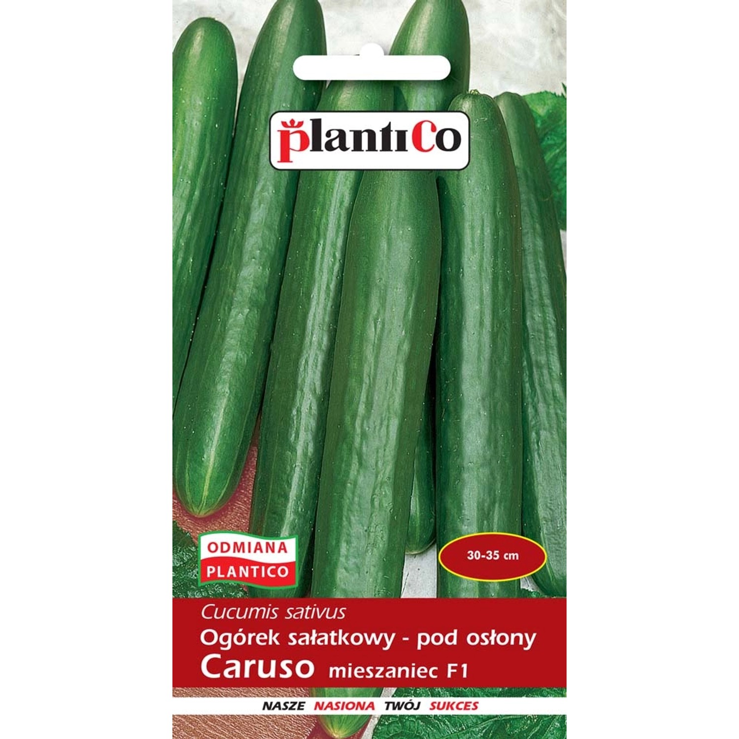 Ogórek pod osłony Caruso mieszaniec nasiona - 1 g
