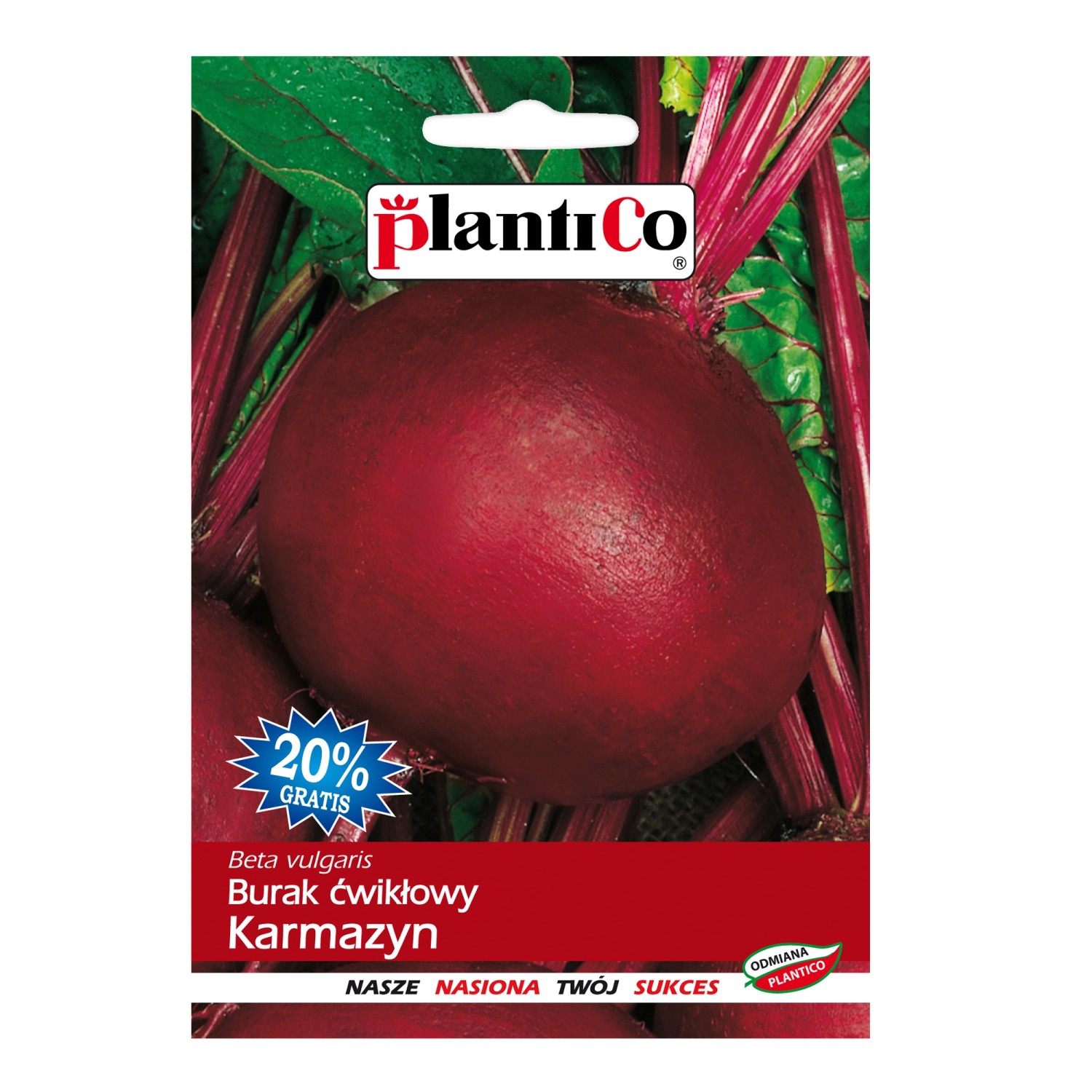 Burak ćwikłowy Karmazyn