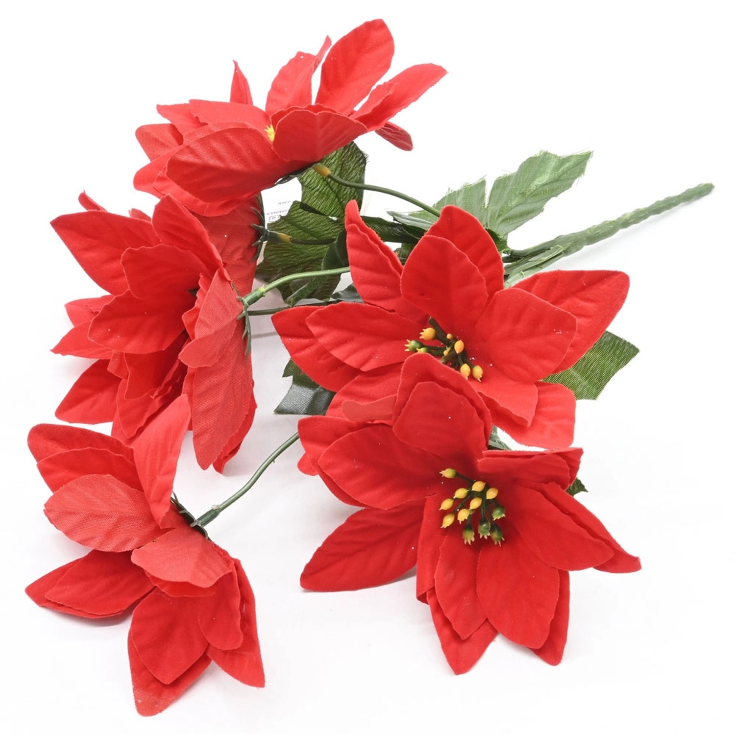 Gwiazda betlejemska bukiet - 34 cm