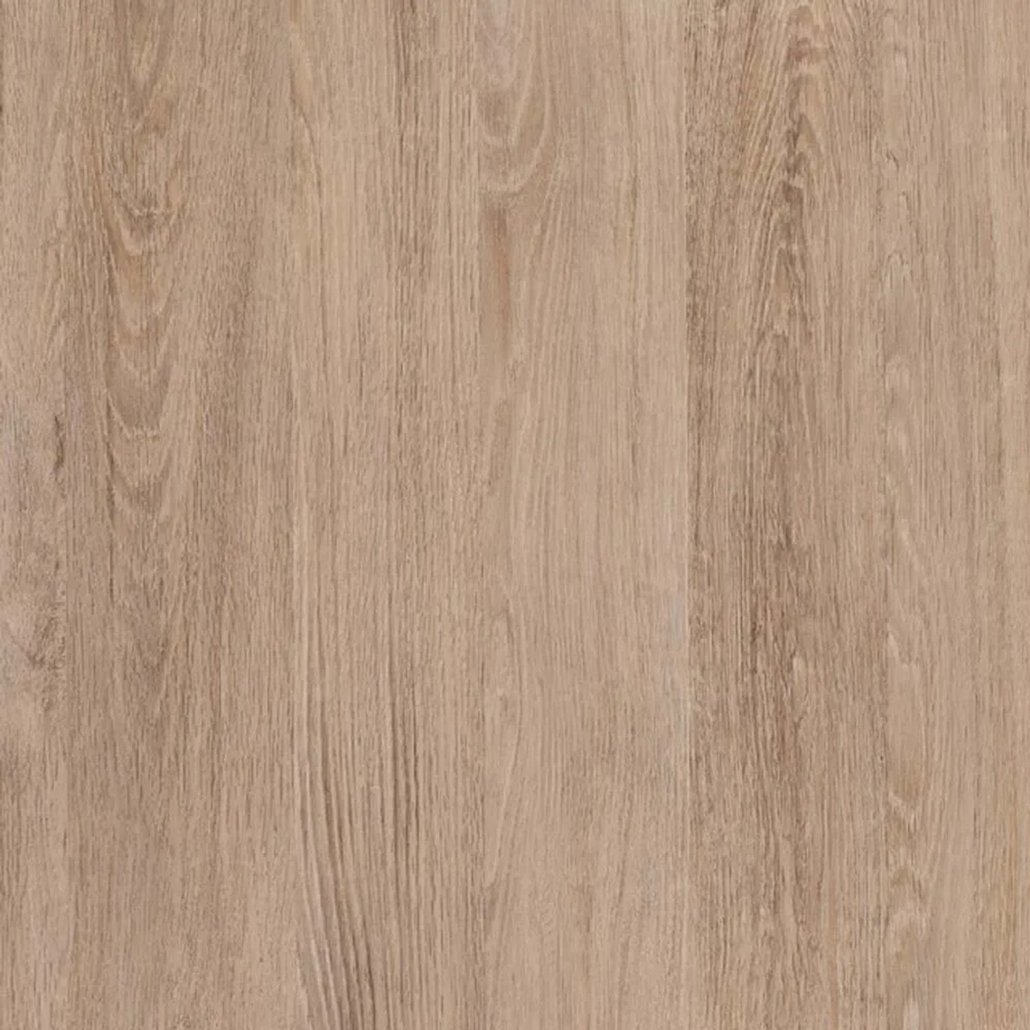 Okleina DĄB SANTANA 45 cm x 200 cm