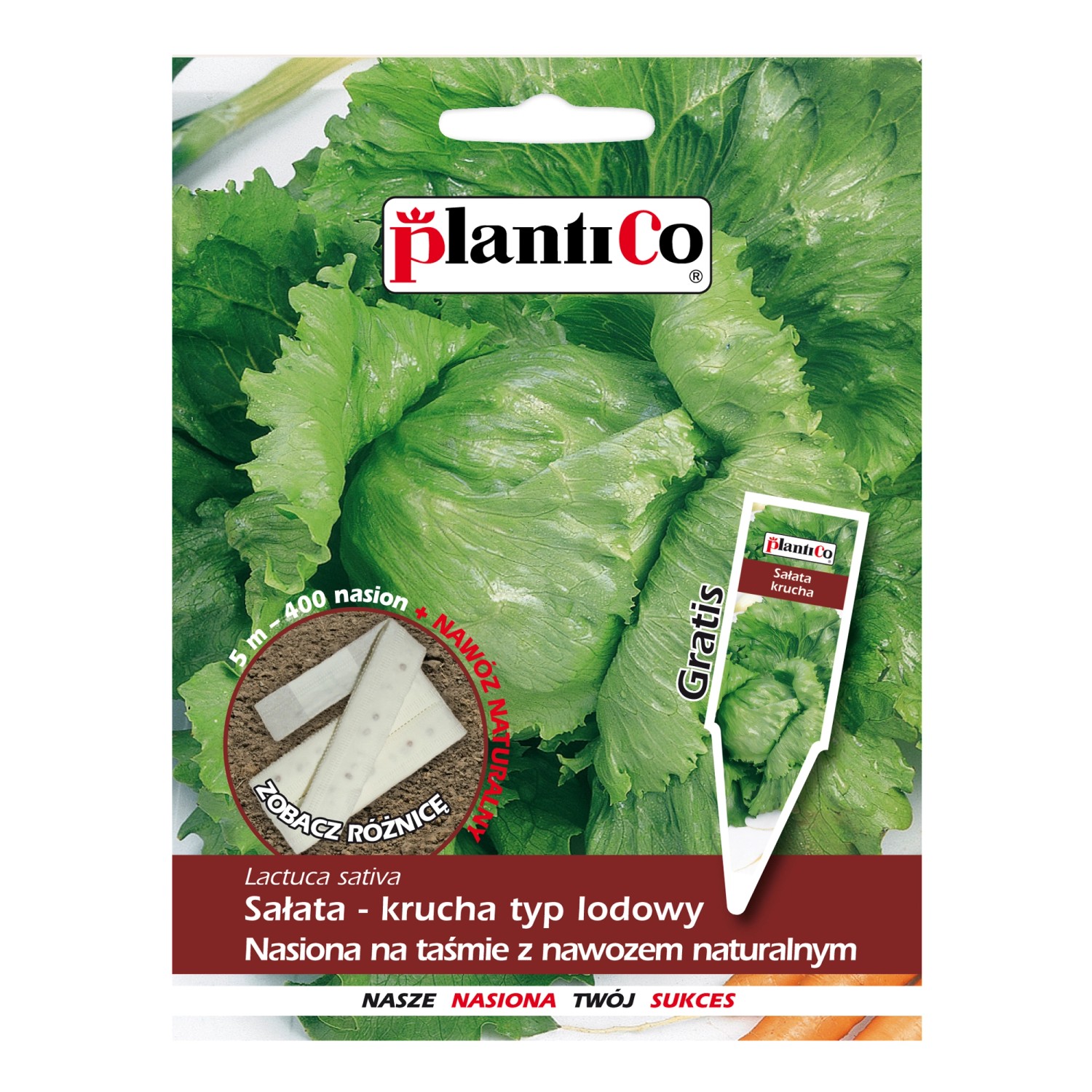 Sałata krucha - nasiona na taśmie - 5 m