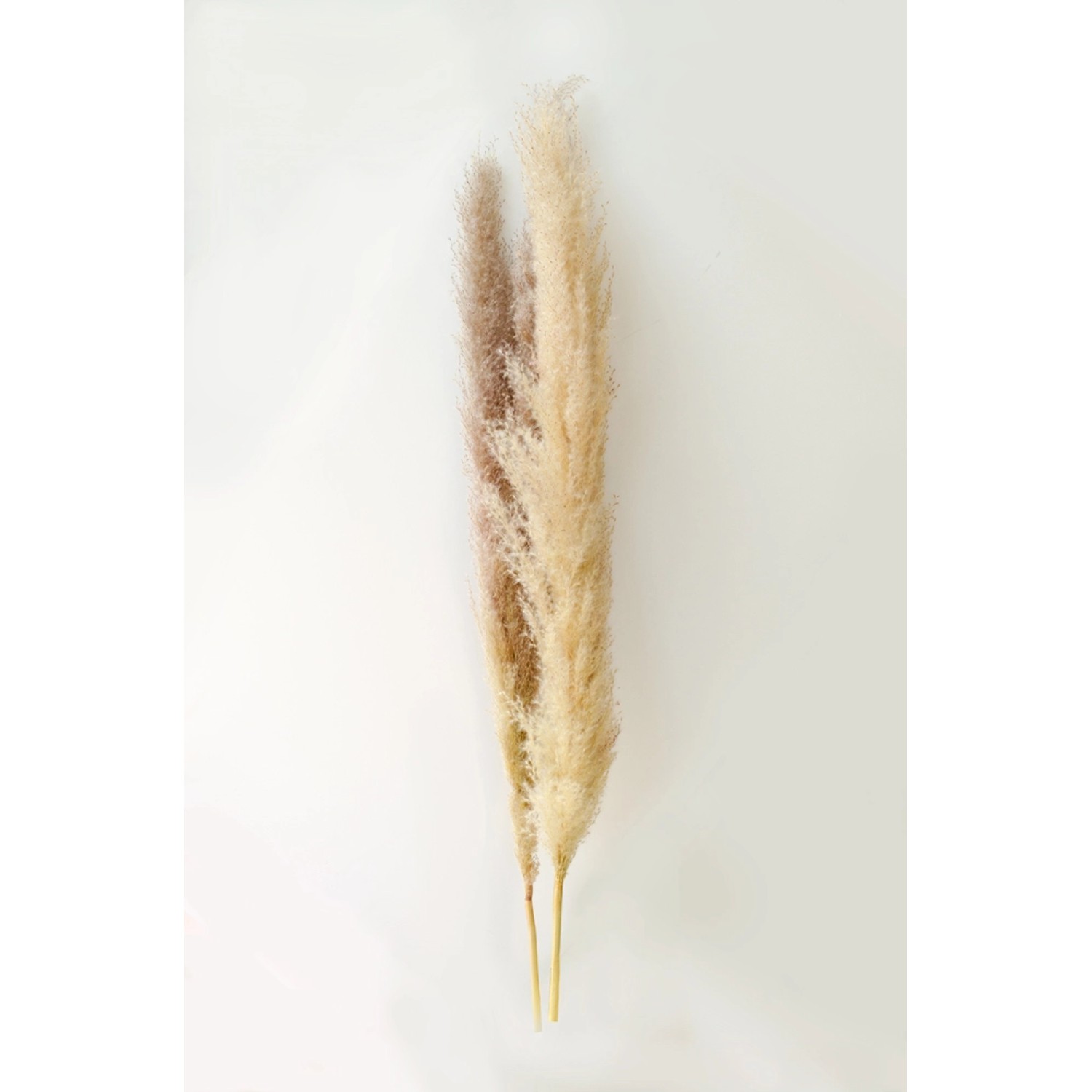 Trawa sztuczna pampasowa 3szt naturalna 150cm