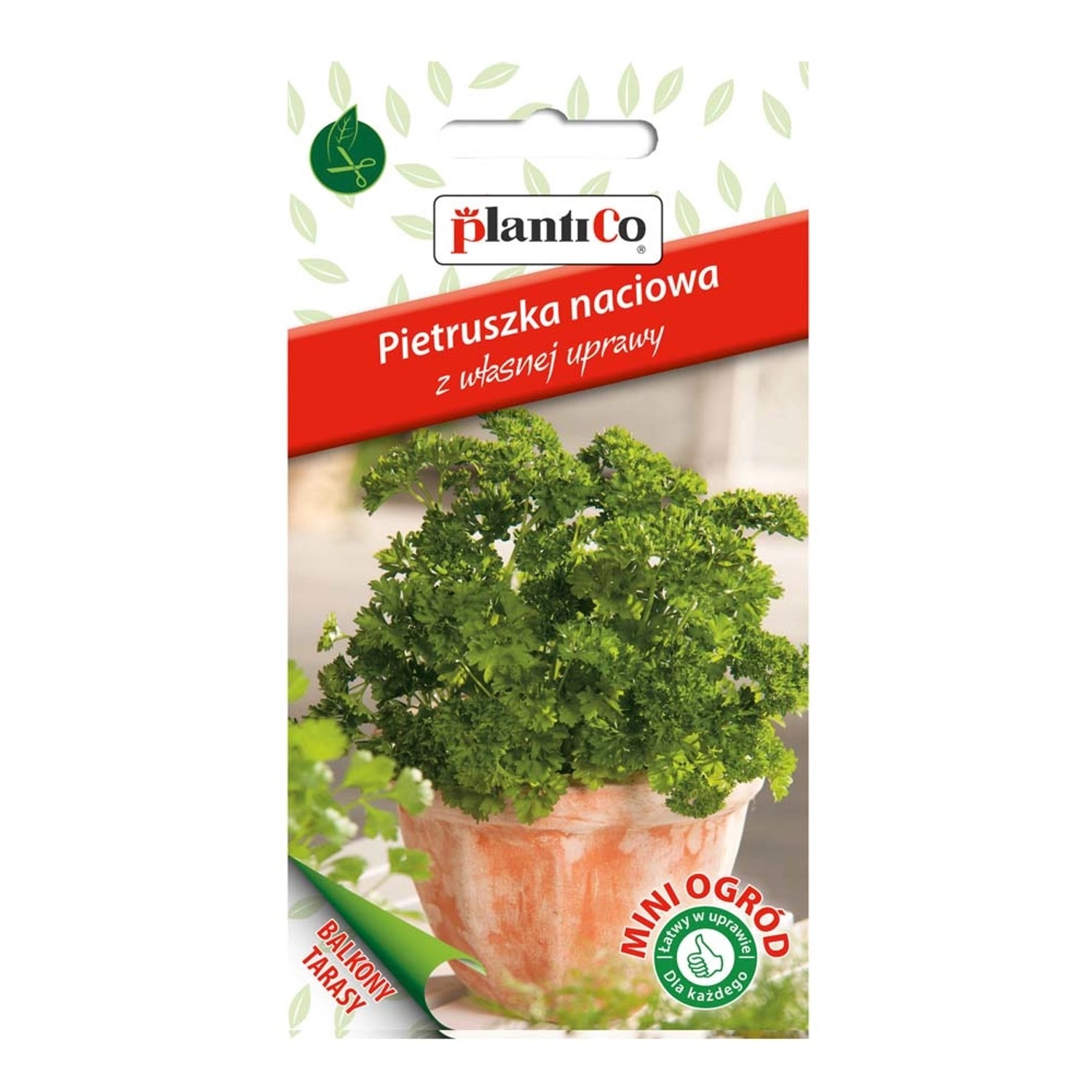 Pietruszka liściowa kędzierzawa Mini Ogród