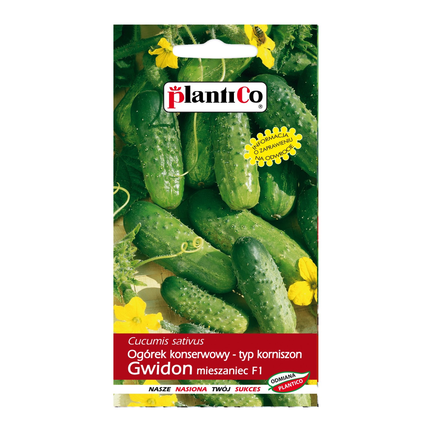 Ogórek Gwidon - 5 g