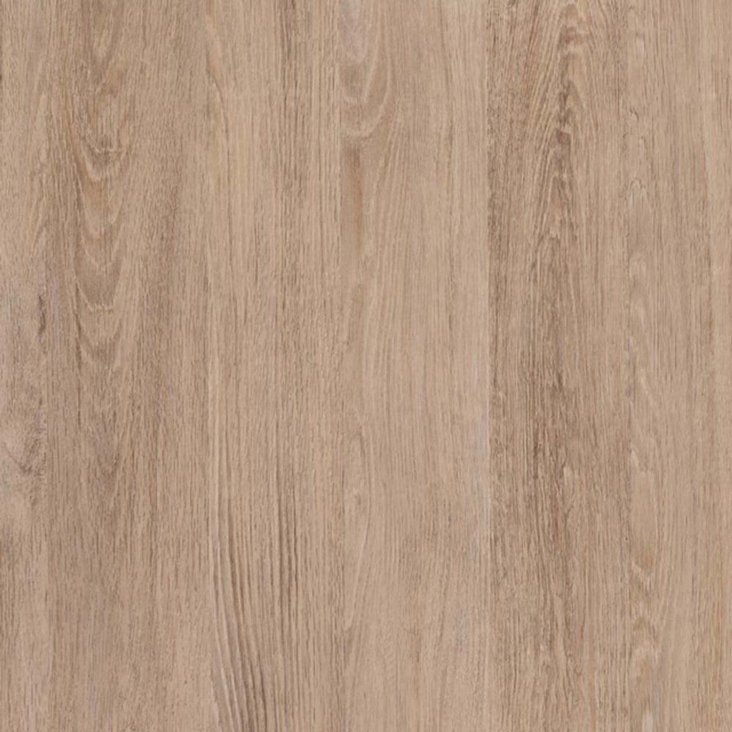 Okleina DĄB SANTANA 90 cm x 200 cm