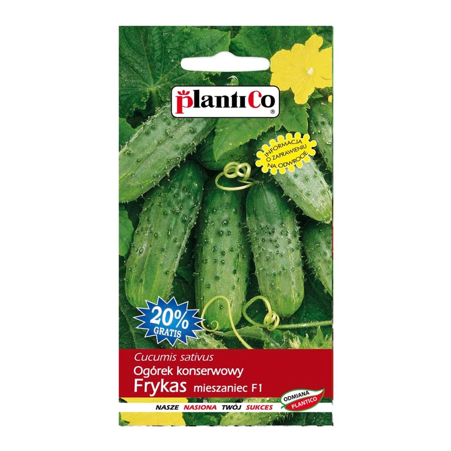 Ogórek Frykas - 5 g