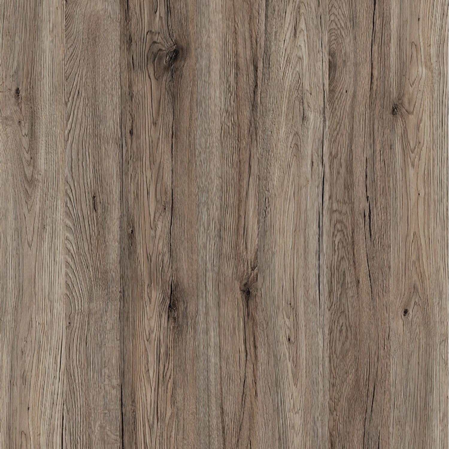 Okleina DĄB SANREMO sepia 45 cm x 200 cm