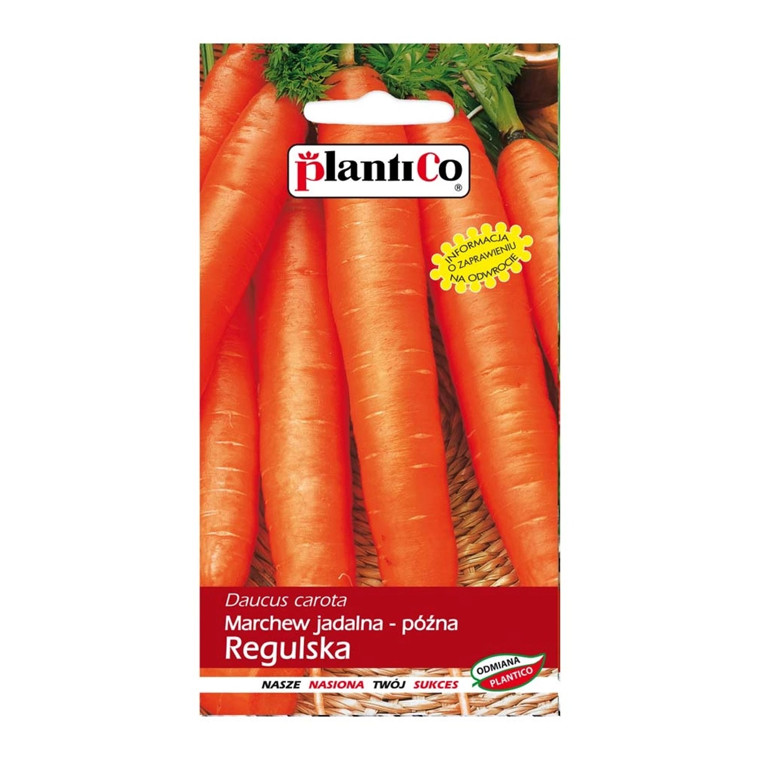 Marchew jadalna Regulska