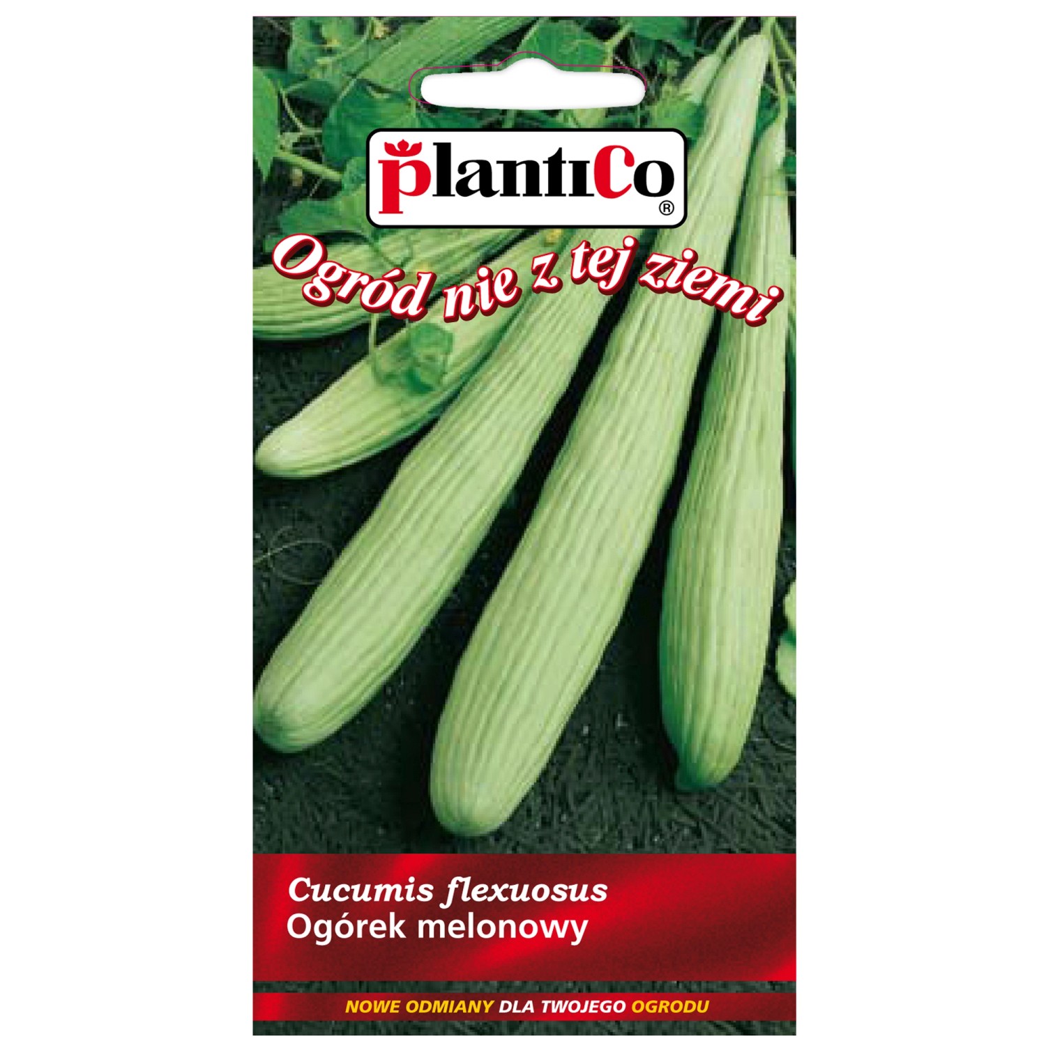 Ogórek Melonowy - 3 g