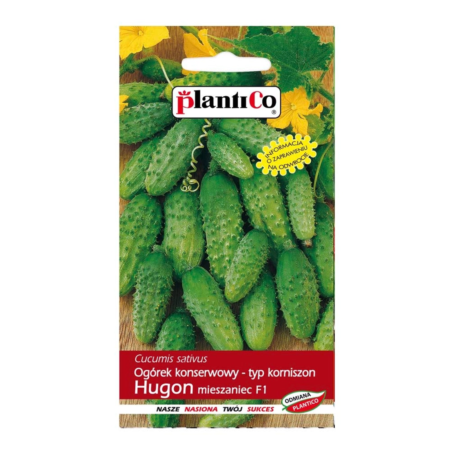 Ogórek Hugon - 5 g
