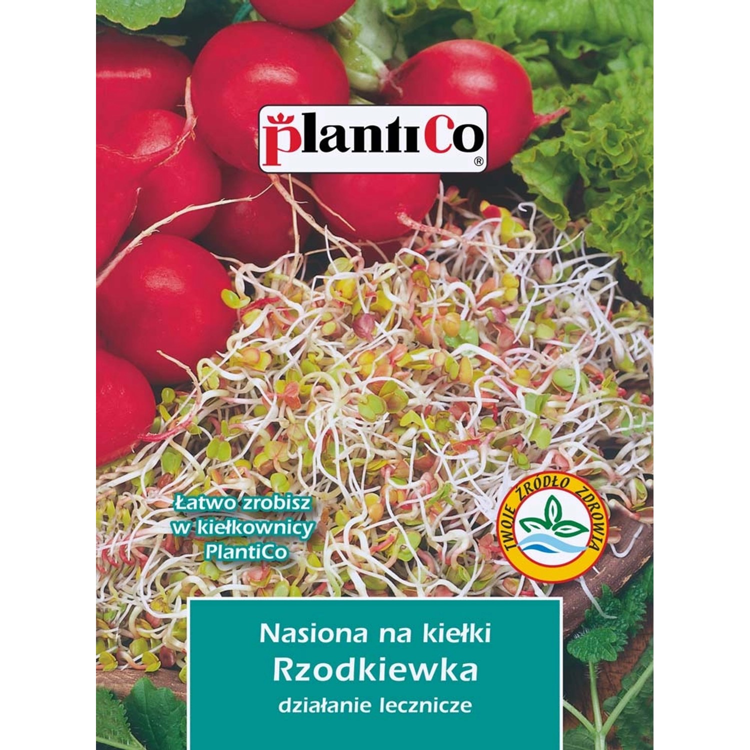 Nasiona na Kiełki rzodkiewki